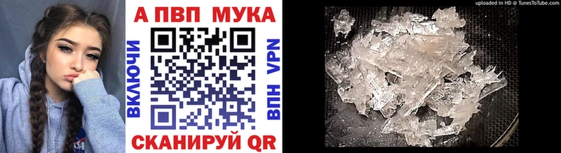 Alfa_PVP СК  OMG   Кашин 