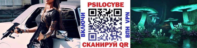 KRAKEN ССЫЛКА Кашин Псилоцибиновые грибы GOLDEN TEACHER