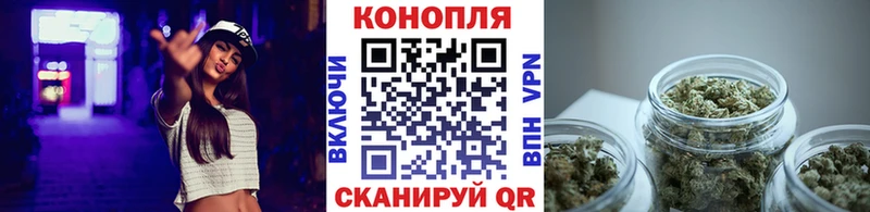 закладка  Кашин  Бошки Шишки гибрид 